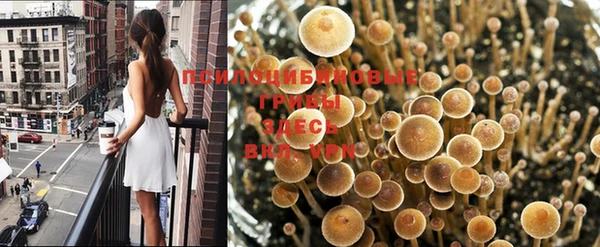 мяу мяу мука Алексеевка